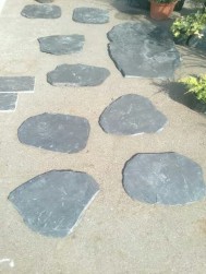 JAPONES Ø 30 - 40 см.